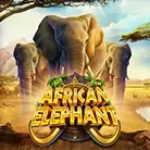 African Elephant game thumbnail